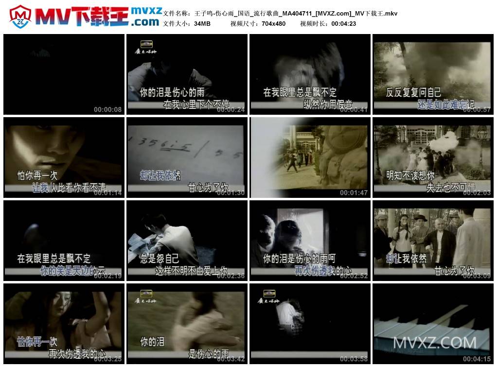 王子鸣-伤心雨_国语_流行歌曲_MA404711